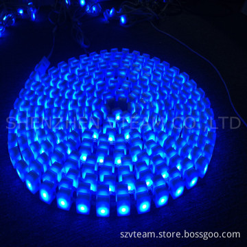 Low Temperature Resistant LED Color Display for Outdoor Decoration (Rudot)